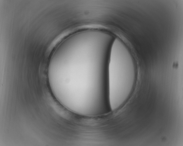 X0000113531229200909180952
