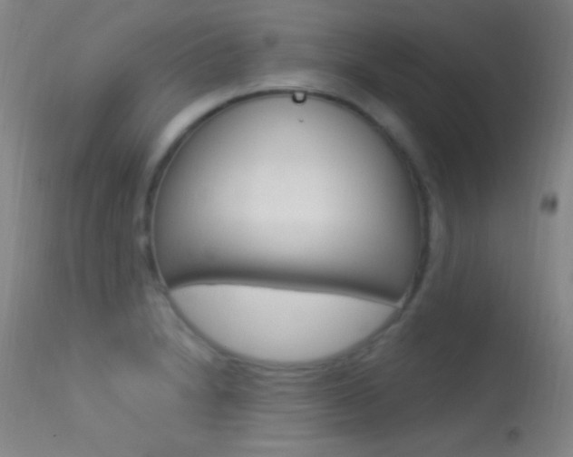 X0000113531230200909180952