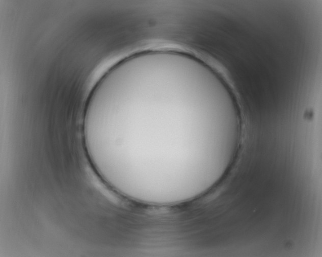 X0000113531231200909180952