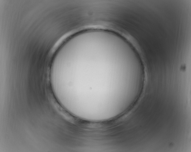 X0000113531232200909180952