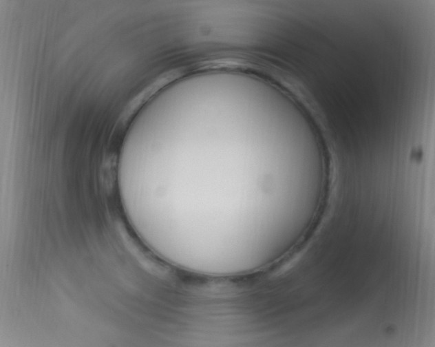 X0000113531233200909180952