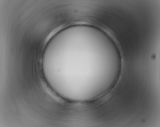X0000113531234200909180952