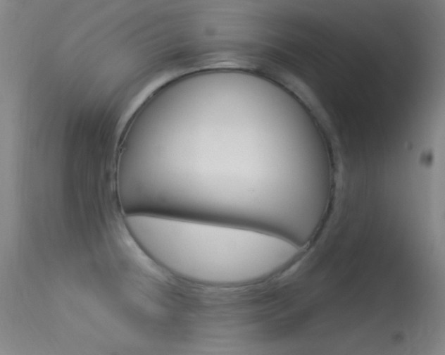 X0000113531236200909180952