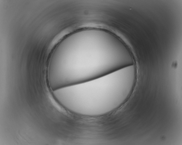 X0000113531237200909180952