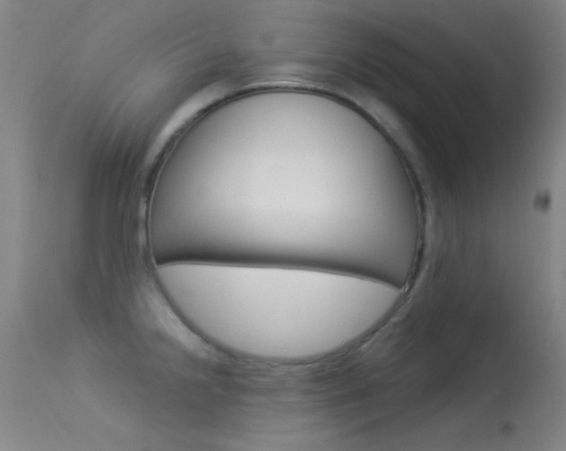 X0000113531238200909180952