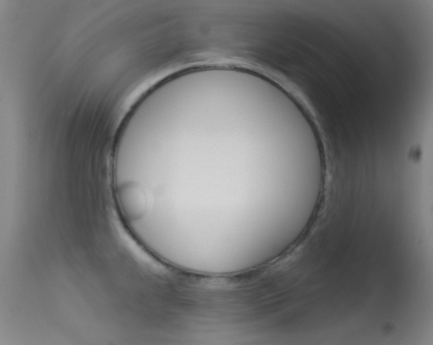 X0000113531239200909180952