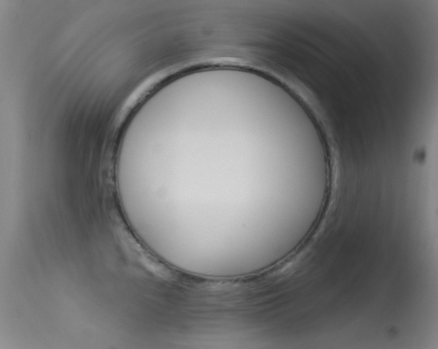 X0000113531240200909180952