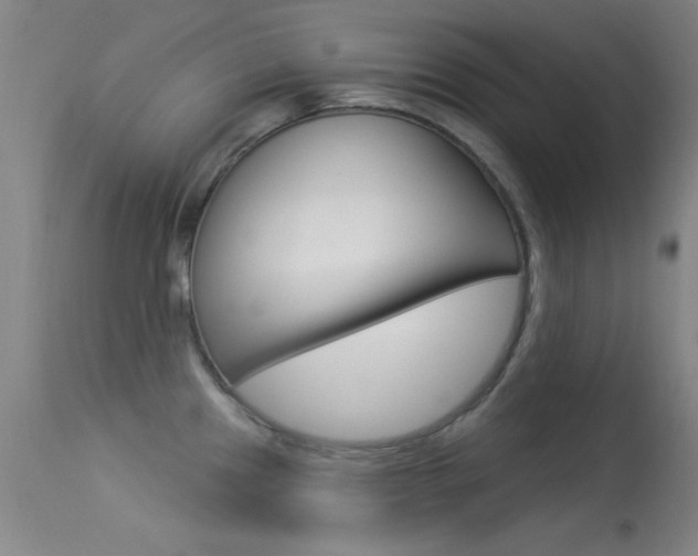 X0000113531241200909180952