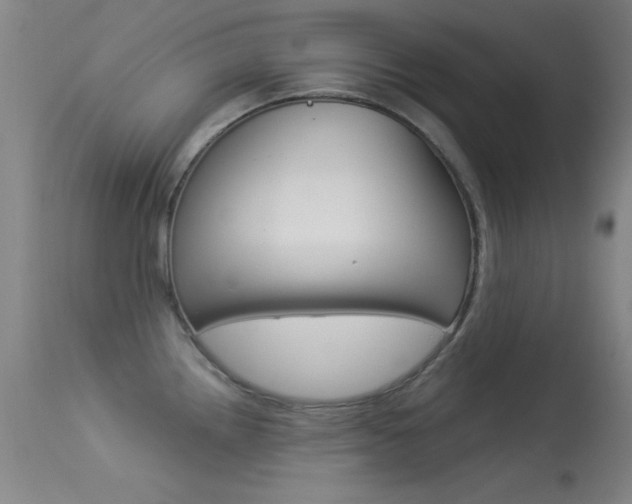 X0000113531242200909180952