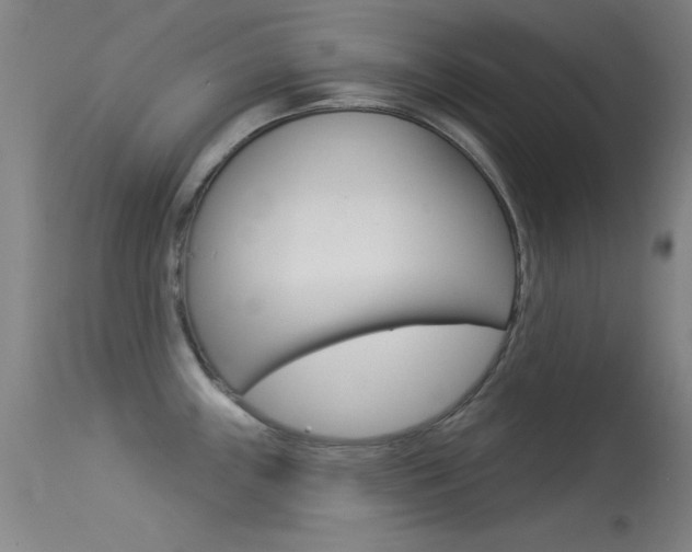 X0000113531243200909180952