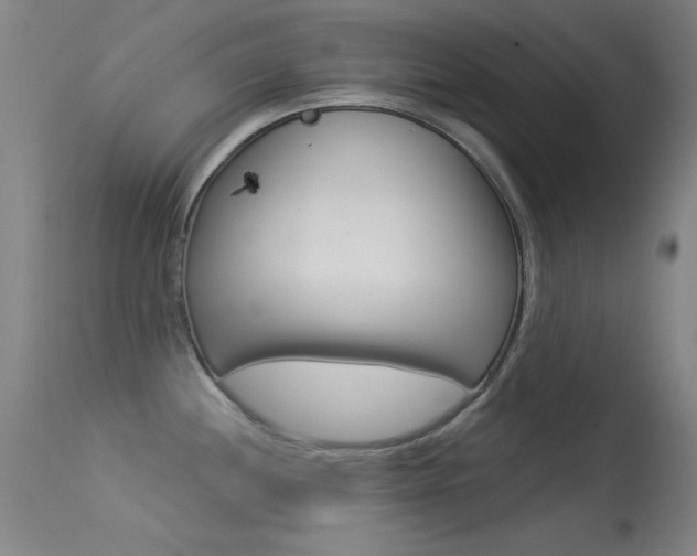 X0000113531244200909180952
