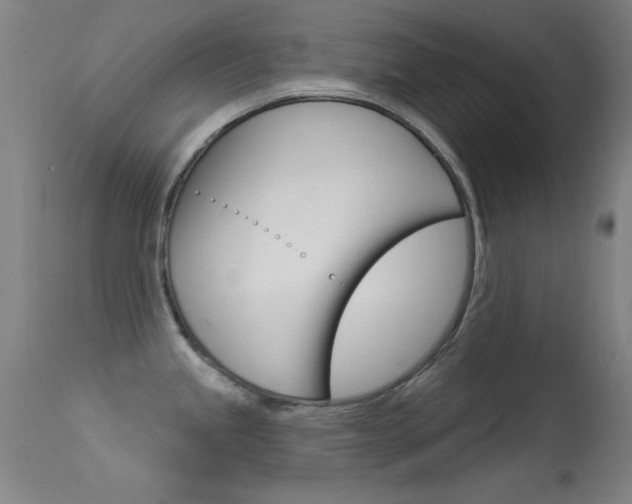 X0000113531245200909180952