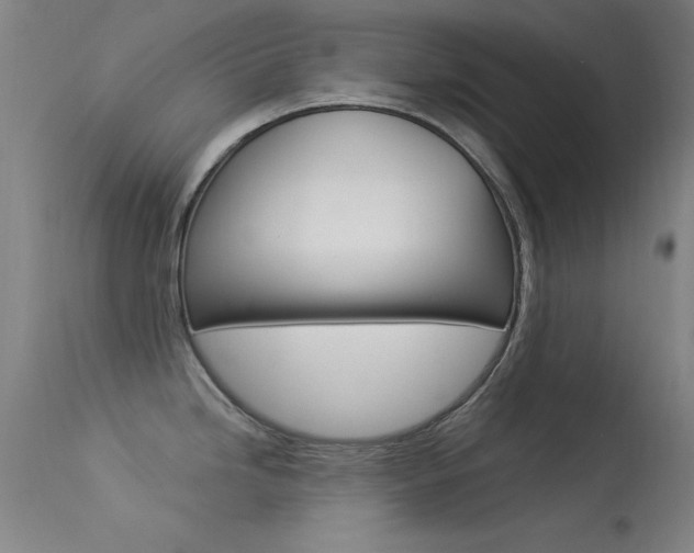 X0000113531246200909180952