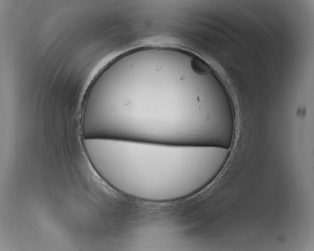 X0000113531248200909180953