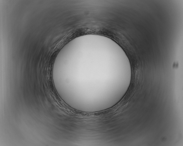 X0000113531250200909180952