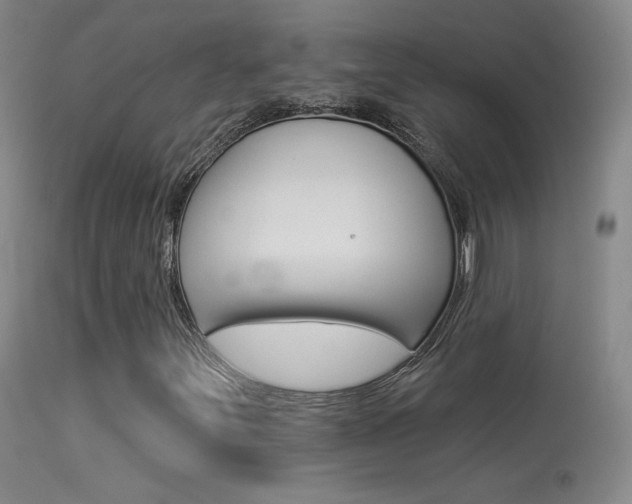 X0000113531251200909180952