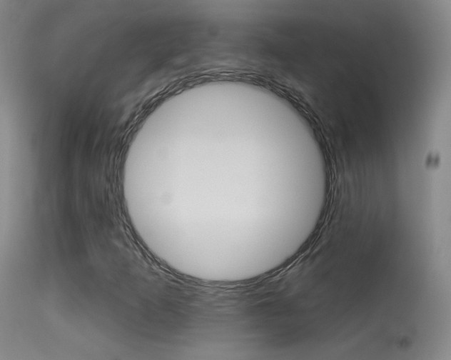 X0000113531253200909180952