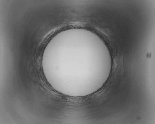 X0000113531254200909180952