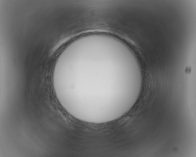 X0000113531255200909180952