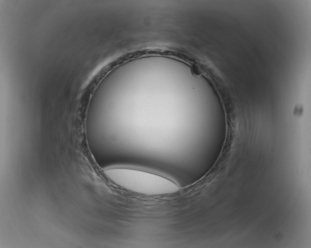 X0000113531256200909180952