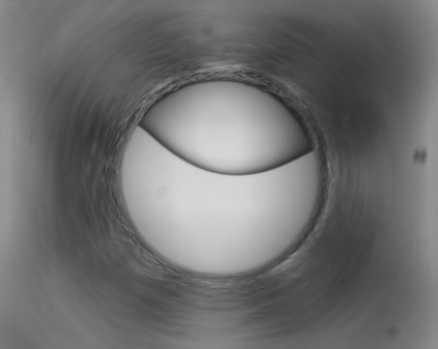 X0000113531257200909180952
