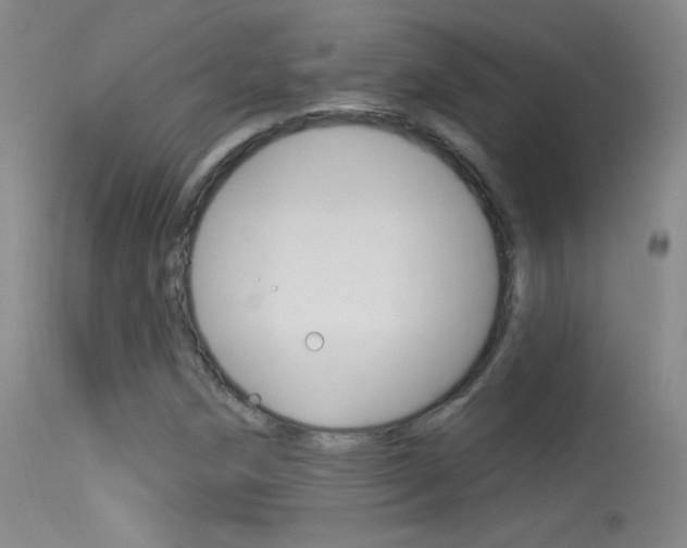 X0000113531258200909180952
