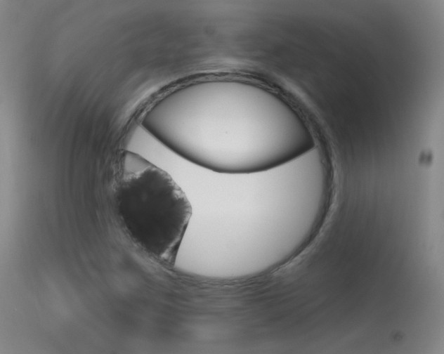 X0000113531259200909180952