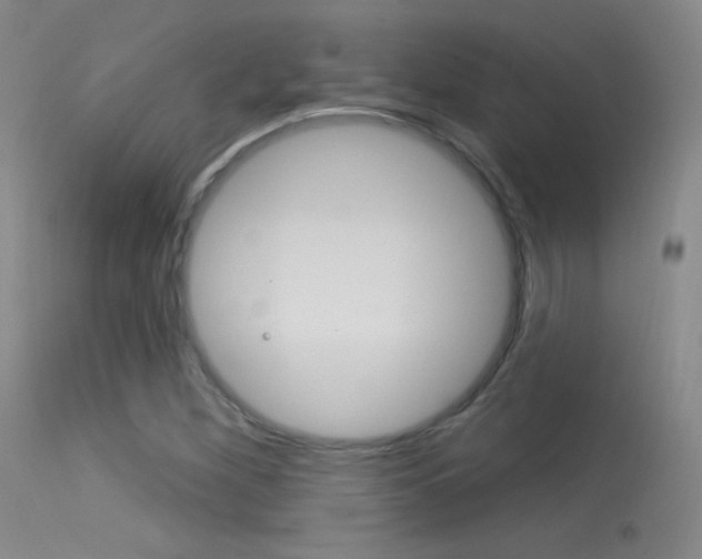 X0000113531260200909180952