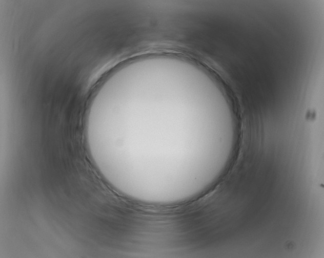 X0000113531261200909180952