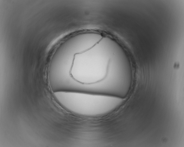 X0000113531262200909180952