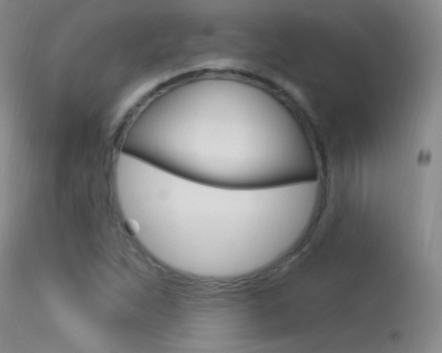 X0000113531263200909180952