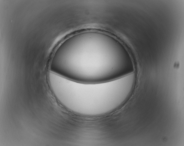 X0000113531264200909180952