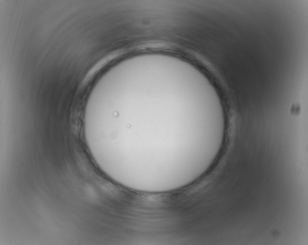 X0000113531266200909180952