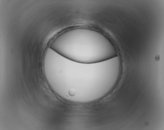 X0000113531267200909180952