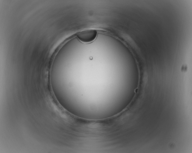 X0000113531268200909180952