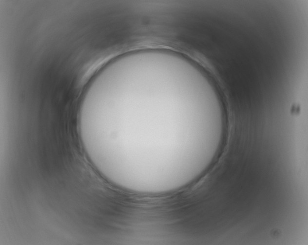 X0000113531269200909180952