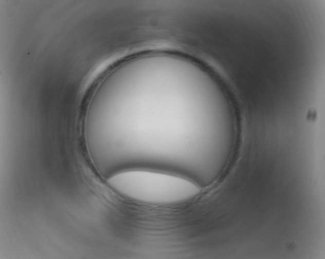 X0000113531270200909180952