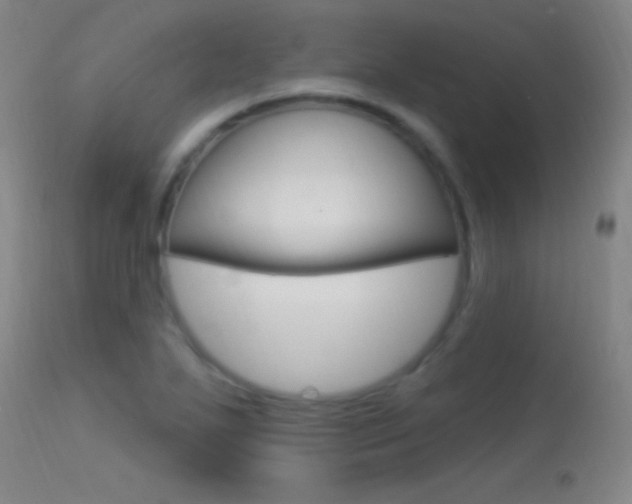 X0000113531271200909180952