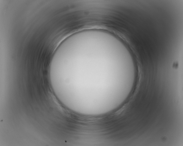 X0000113531273200909180952