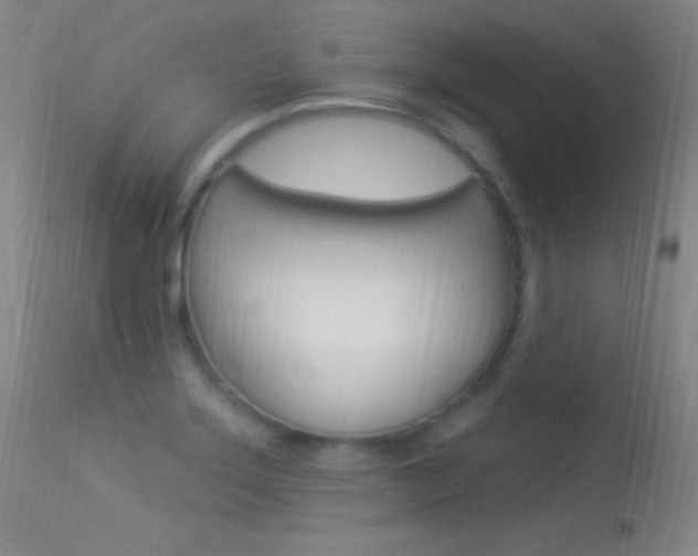 X0000113531275200909180951