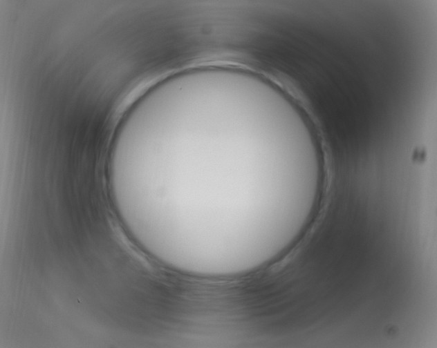 X0000113531277200909180951