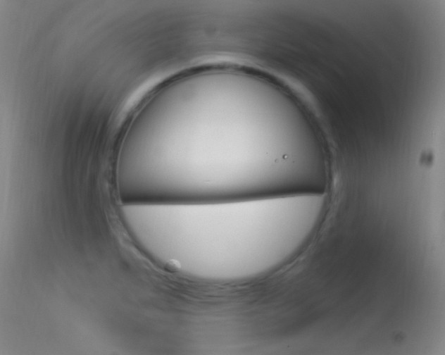 X0000113531279200909180951