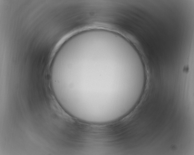 X0000113531280200909180951