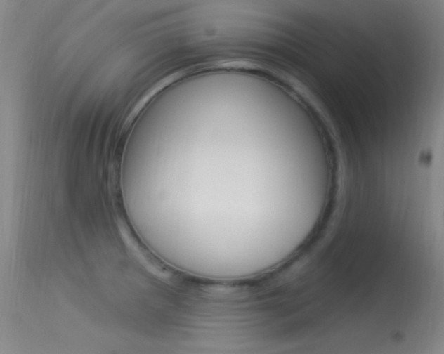 X0000113531281200909180951