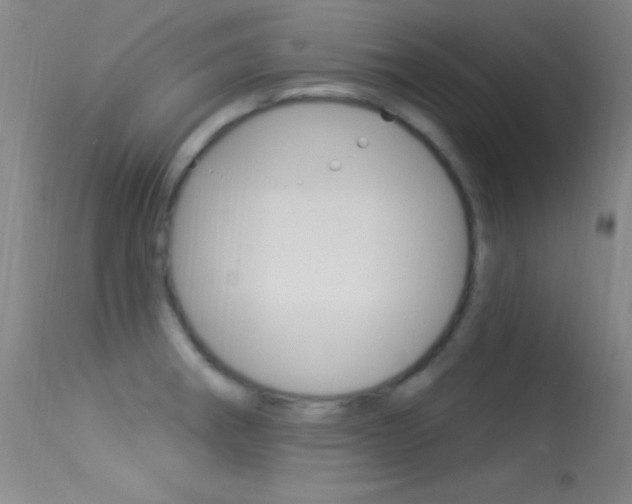 X0000113531282200909180951