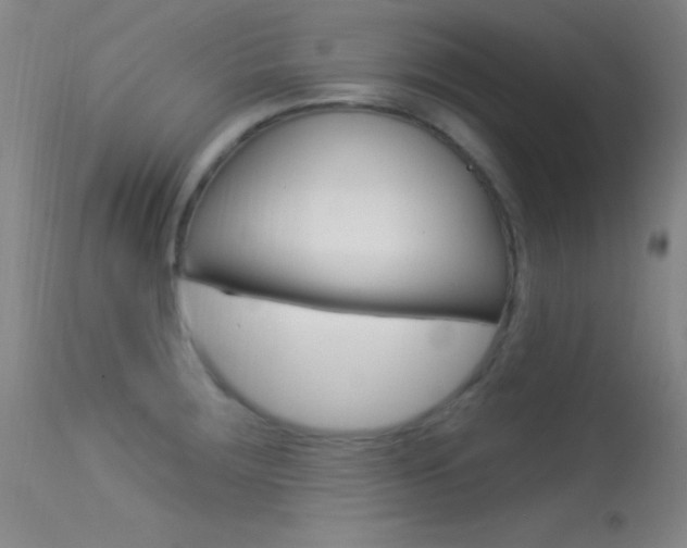 X0000113531283200909180951