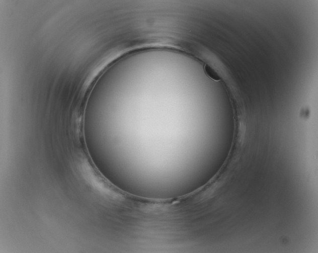 X0000113531284200909180951