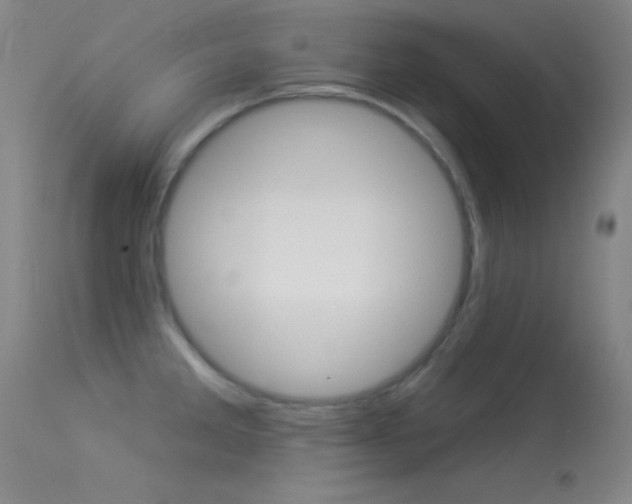 X0000113531285200909180951