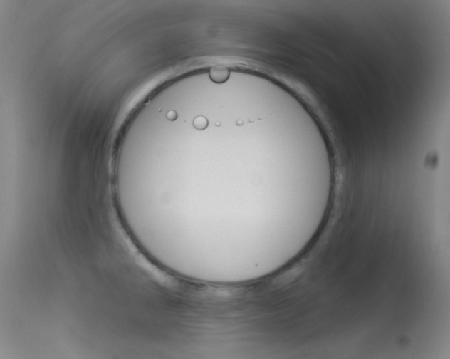 X0000113531286200909180951