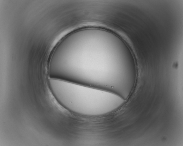 X0000113531287200909180951